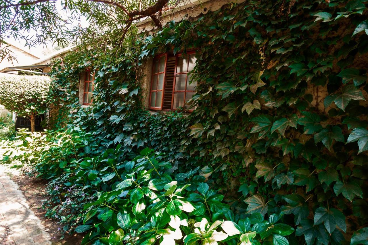 Town And Country Mpumalanga Hotel Middelburg  Exterior foto
